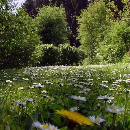 Stylish In Hastiere With Terrace 度假居 *